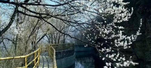 红旗渠多少钱（这个景区很有名）
