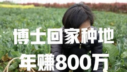 收粮食一年赚多少钱（海归博士夫妻留学回来后种地）