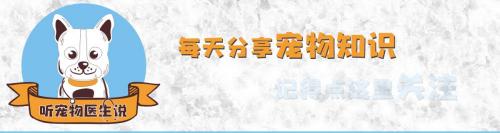 狗狗抗体检测多少钱（刚买了只狗狗不知道它有没有打疫苗怎么办）