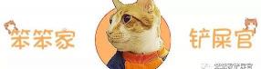 猫拔牙多少钱（猫咪最危险的）