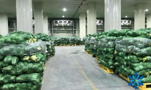 建造冷库多少钱（100吨蔬菜需要建多大冷库）