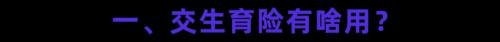 二胎补助多少钱2019（社保隐藏福利）