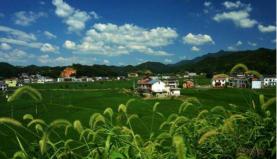 现在农村土地多少钱一亩（农村土地）