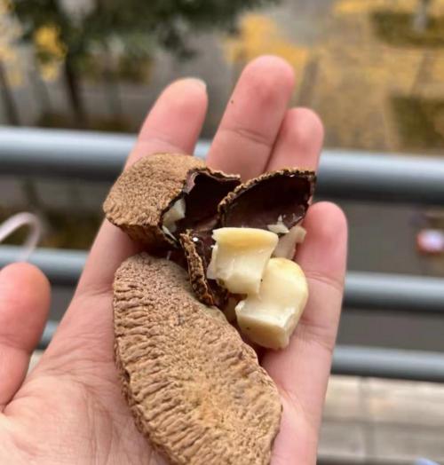 鮑魚價格是多少錢一斤（50元一斤的鮑魚果）