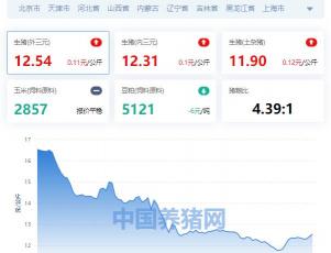 大猪多少钱一斤（全国生猪价格涨跌表）