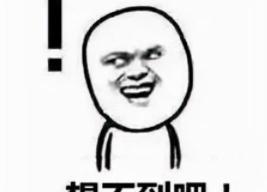 第一次拉网线要多少钱（120块淘到42U网络机柜）