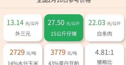 一头小猪多少钱（2月10日仔猪价格）