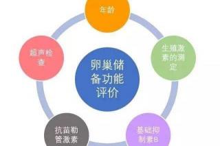 检查卵巢功能多少钱（于萍）