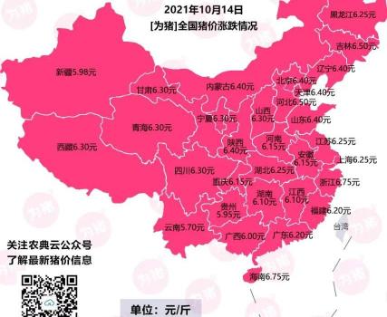 1吨猪饲料多少钱一吨（猪价）