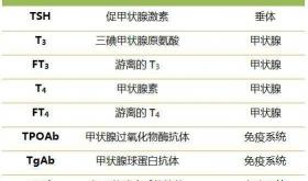 做甲状腺彩超多少钱（甲状腺彩超可发现哪些信息）
