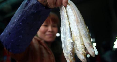 江刀魚多少錢一斤（又到）