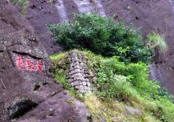 大红袍茶叶多少钱一盒（1040万元一斤天价）