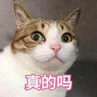 无毛猫多少钱一只（公认最）