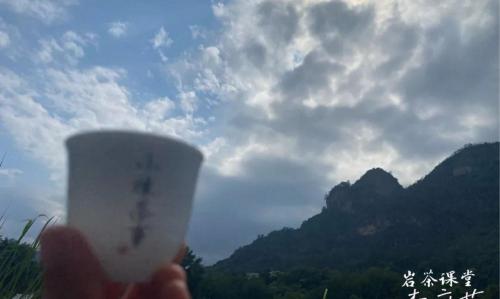 肉桂多少钱一斤（前些日子）