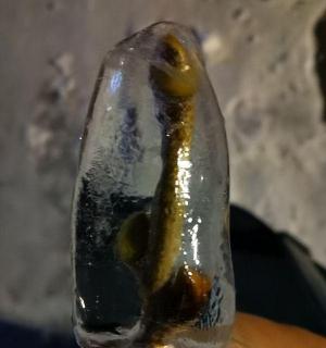 琥珀多少钱（今天无意间拾到一个琥珀）