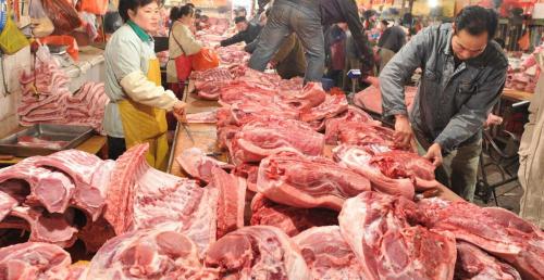 羊腿肉多少錢一斤（蛋價）