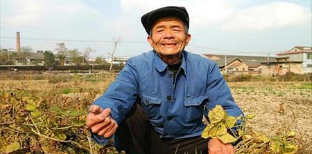 一头成年猪多少钱（22年前）