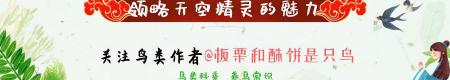 八哥鸟多少钱一只（千年的八哥）