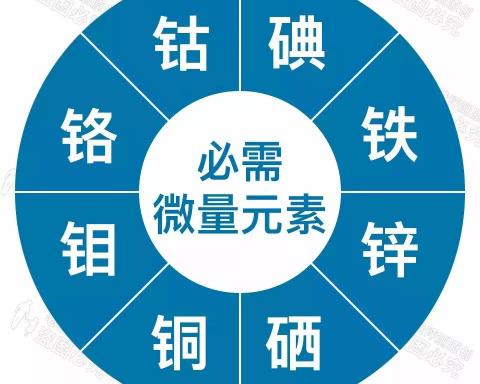 检查微量元素多少钱（套路）