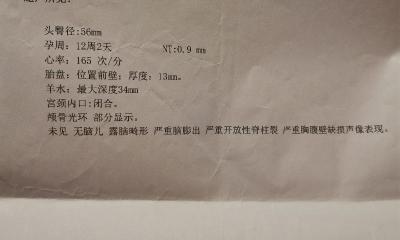 torch检查多少钱（6万孕期检查厚如书）