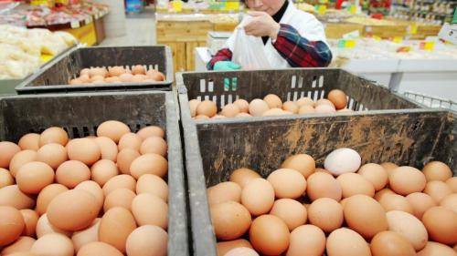 泥鳅价格多少钱一斤（蛋价再破5元）