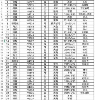 黑背犬多少钱一只（警校拍卖淘汰犬最高拍价33万）