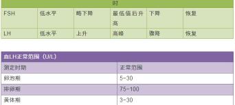 查性激素六项需要多少钱（月经不调）