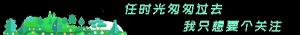 孵化機多少錢一臺（手把手教你孵化雞蛋）