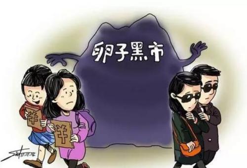 一颗卵子市场价多少钱（揭秘卖卵黑市）