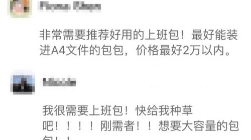 goyard國內專柜多少錢（一次看夠好用的上班包）