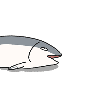 一條魚多少錢(中江魚價猛漲)