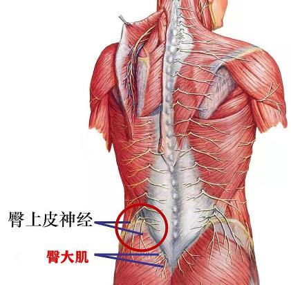 腰部做ct大概多少錢(qián)（腰臀部疼或下肢麻木）