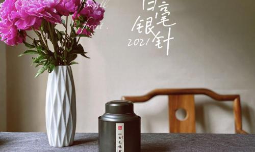 白茶的价格是多少钱一斤（100元）