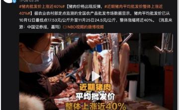一頭成年豬多少錢（近期豬價(jià)反彈）