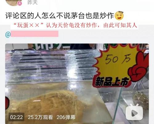 金线草多少钱一斤（3元就买到一只黄喉小青龟）