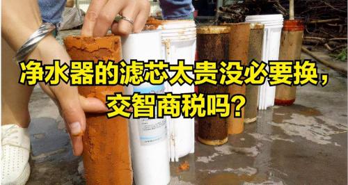 净水器滤芯多少钱一个（净水器的滤芯太贵没必要换）