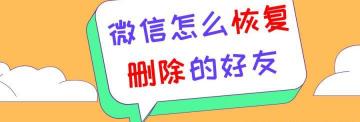 怎么看微信有多少好友（微信怎么恢复删除的好友）