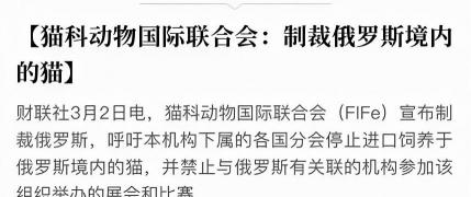 西伯利亚森林猫多少钱（猫咪这么可爱）