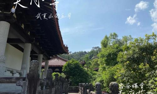 大红袍多少钱（大红袍比较香）