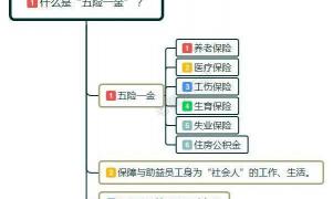 五险是哪五种保险要交多少钱（有五险一金月薪3500元）