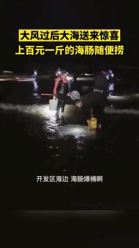 海肠多少钱一斤（烟台大风过后海肠遍布沙滩）