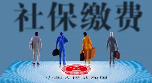 0.08是多少钱（每个月社保交的钱都去哪了）