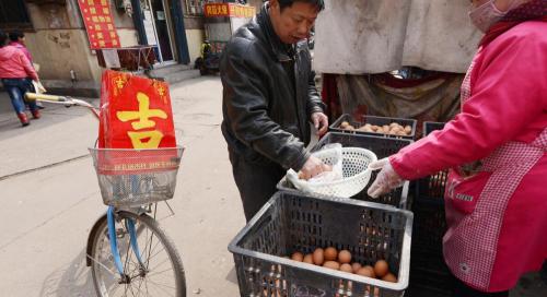 豆粕多少钱一斤（鸡蛋价格持续高涨）