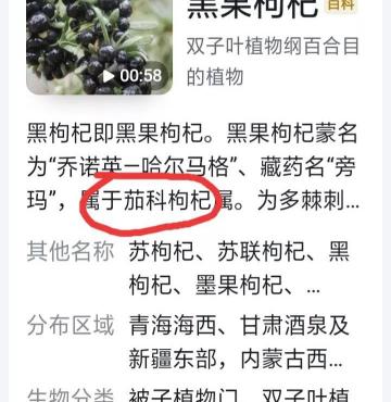正品黑枸杞多少钱一斤（有人说曾经被炒到几千元一斤的黑枸杞）