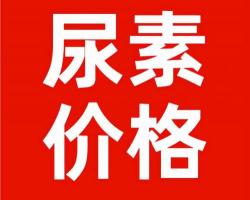 尿素的价格多少钱一吨（上涨10）