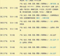 医院验孕多少钱（孕期产检）