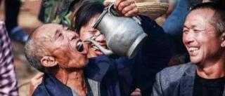 老村长多少钱一瓶（谁说东北没好酒）