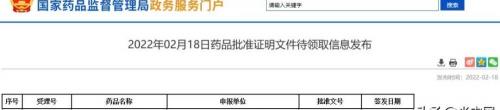 格列齊特片多少錢一盒（13億口服降糖藥）