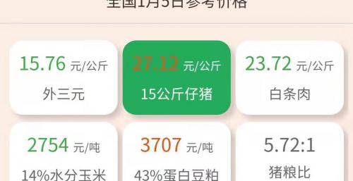 猪仔多少钱一头（1月5日仔猪价格）