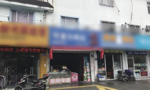 五星红杉树多少钱一包（江苏南通）